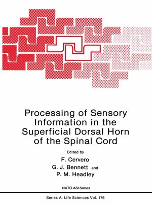 cover image of Processing of Sensory Information in the Superficial Dorsal Horn of the Spinal Cord